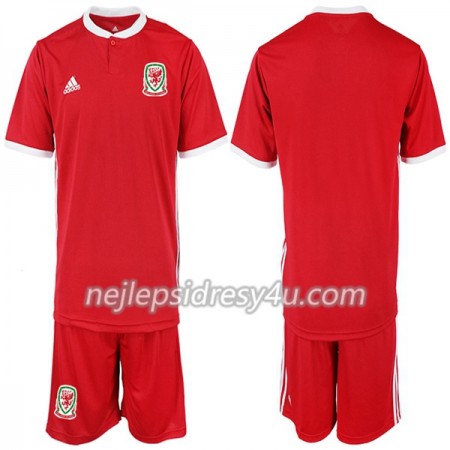 Fotbalový Dres Wales Dětské Domácí 2018/19